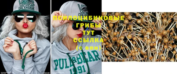 спайс Покачи